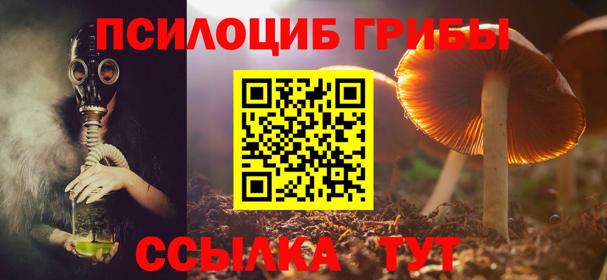 Галлюциногенные грибы прущие грибы  купить закладку  Вход с VPN  Ижевск  Галлюциногенные грибы Psilocybe 